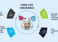 Term Life Insurance: The Only Guide You Need - Wealth Nation