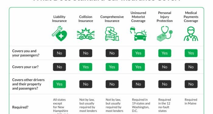 How Does Basic Car Insurance Work? (2025)