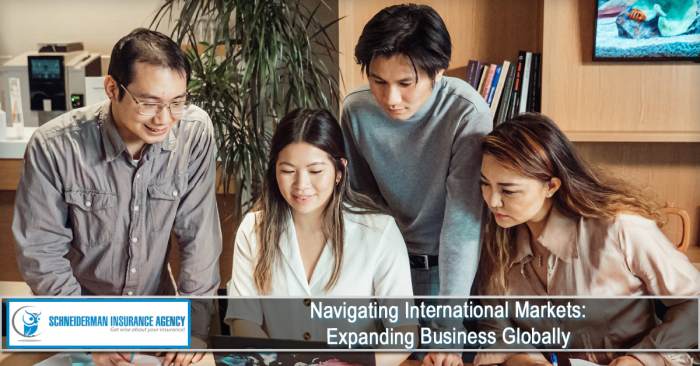 Navigating International Markets: Expanding Business Globally ...
